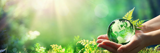 Sunburst above green grass with two human hands holding green glass globe 